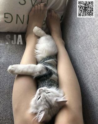 973理论片235影院在线_BD韩语天堂在线