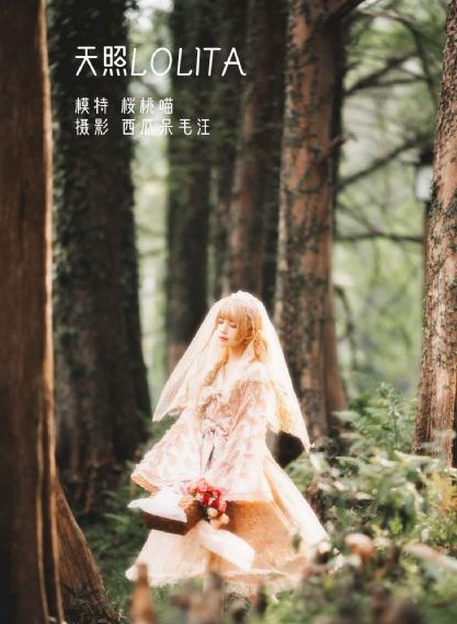 大团圆结2亲情会闪闪发光亲情会2_BD高清欧美在线观看