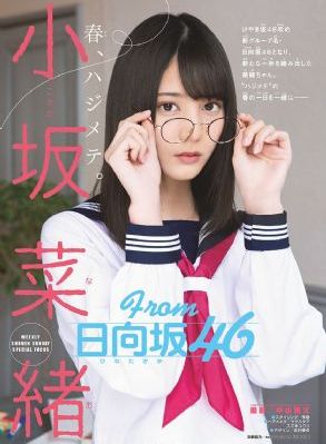 红猫大本营点击在线观看的_1080超清免费观看